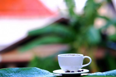 Sehpadaki kahve yavrusu ve kahve çekirdekleri.