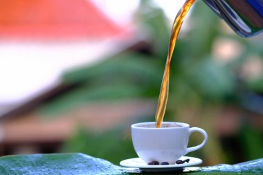 Sehpadaki kahve yavrusu ve kahve çekirdekleri.