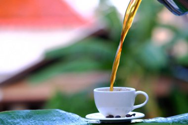 Sehpadaki kahve yavrusu ve kahve çekirdekleri.