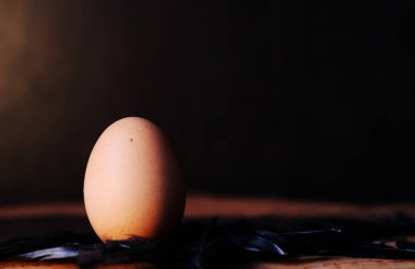 Yumurtayı ahşap masa arka planına ve alana kapat