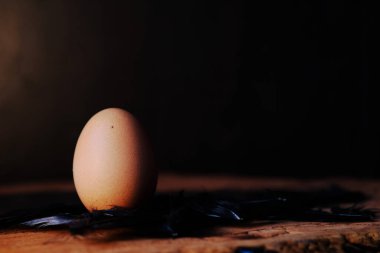 Yumurtayı ahşap masa arka planına ve alana kapat