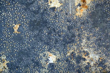 alan için duvar çimentosu soyut arkaplan ve dokusu