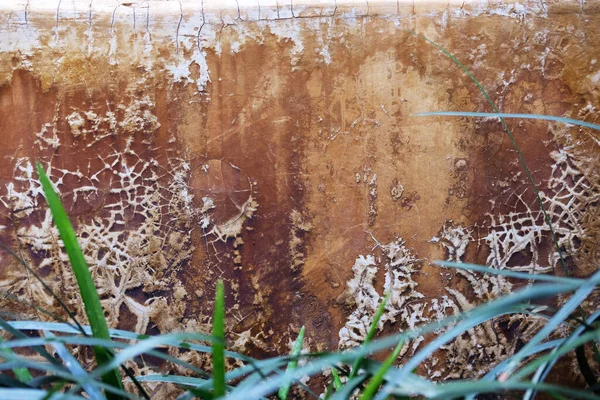 Стіна Цемент Абстрактний Фон Текстура — стокове фото