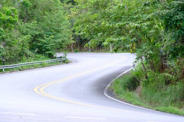 Yol gündüz vakti yeşil ağaçlar ve bitkilerle çevrili. 