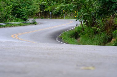 Yol gündüz vakti yeşil ağaçlar ve bitkilerle çevrili. 
