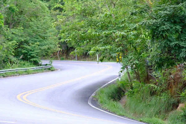 Road Surrounded Green Trees Plants Daytime Royalty Free Stock Photos