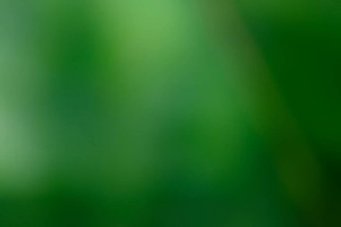 soyut renkli çiçek arkaplanı yakın plan görüntüsü 