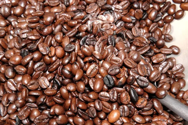 Coffee Beans Background Close View — Photo