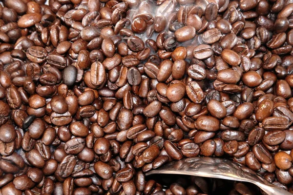 Coffee Beans Background Close View — Zdjęcie stockowe