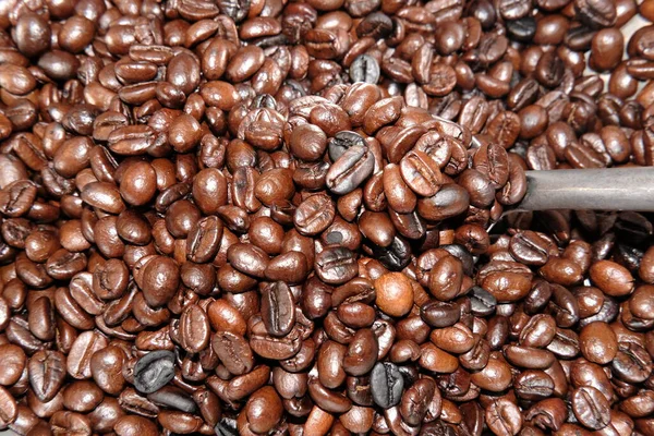 Coffee Beans Background Close View — Photo