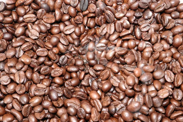 Coffee Beans Background Close View —  Fotos de Stock