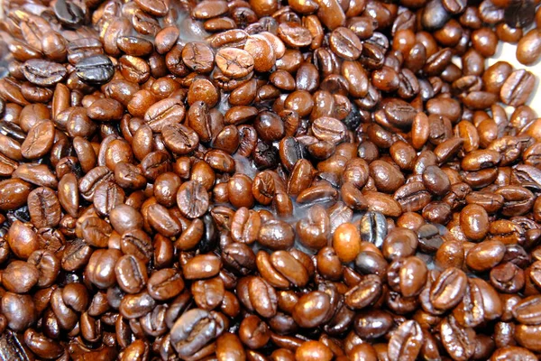 Coffee Beans Background Close View — Stockfoto