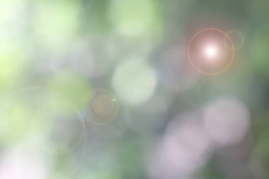 soyut yeşil bokeh arkaplanı