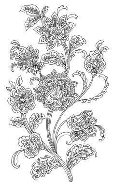 Paisley Tarzı Elements : Set 