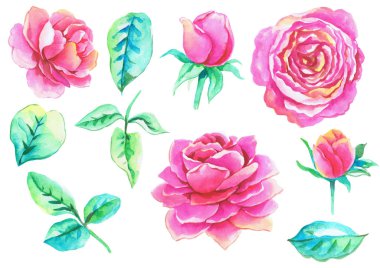 elle çizilmiş suluboya çiçek ve yaprakları