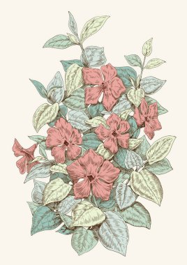 Elle çizilmiş çiçek ve yaprakları