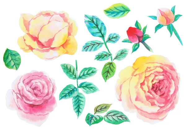 Tinta Desenho Aquarela Rosas — Fotografia de Stock