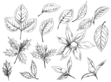 El yapımı illüstrasyon, çiçekler ve yapraklar 