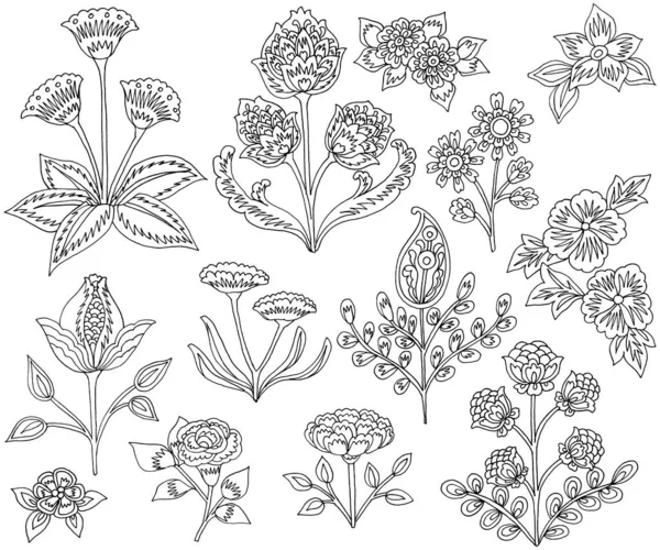 Flores Hojas Dibujadas Mano Estilo Paisley Fondo Blanco —  Fotos de Stock