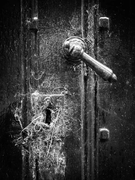 Old door with door handle and lock hole full of spiderwebs. The handle is finished with a lot of craftsmanship.