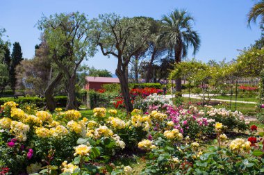 Genoa (Genova), İtalya, 18 Mayıs 2018 - gül bahçesi 