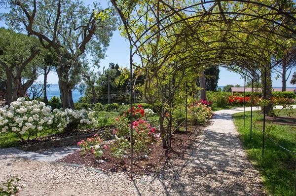 Gül Bahçesi Roseto Genoa Genova Nervi Içinde Cenova Nervi Parklar — Stok fotoğraf