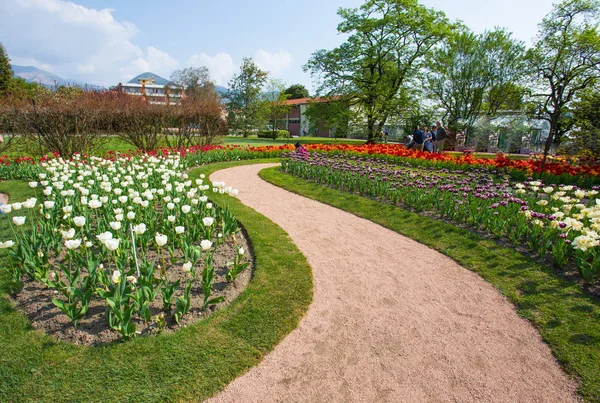 Beautiful various kinds of tulips in the botanical garden of Villa Taranto in Pallanza, Verbania, Italy.