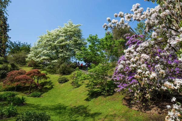 Indah Bunga Lanskap Kebun Botani Villa Taranto Pallanza Verbania Italia — Stok Foto