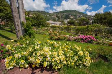 Genoa (Genova), İtalya, 18 Mayıs 2018 - gül bahçesi 