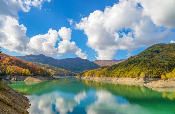 Göl ve refleksleri renkli ağaçlar ile sonbaharda yeşil su