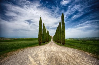 Siena, İtalya, 5 Mayıs 2015 - selvi ağaçları satır ve beyaz bir yol, val d Orcia kırsal manzara arazi Siena, Toskana, İtalya, Europe.