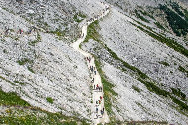 Bir grup insan ile yol yürüyüş sırt çantaları.