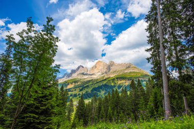 Çayırlar, çam ağaçları ve çiçekler, Dolomites, İtalya bir mavi bulutlu gökyüzü altında Rosengarten grubunun (Rosengarten) Dağları nın görünümü