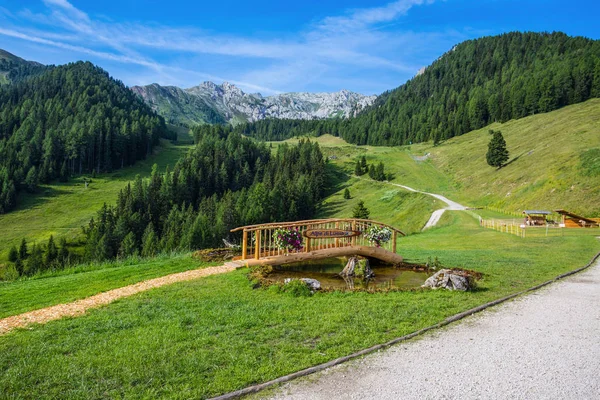 Kleine Houten Brug Met Een Vijver Een Prachtige Bergachtige Dolomieten — Stockfoto