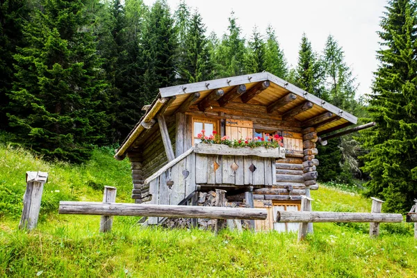 Isolated mountain cabin in the woods/house/isolated/green/wood/mountain/Dolomites/Italy