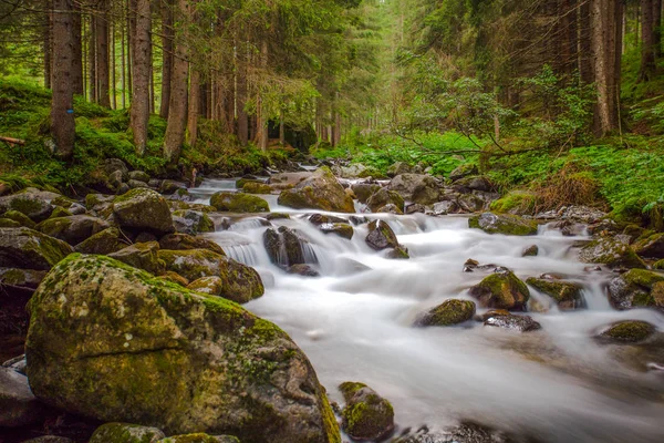 Malý Vodopád Lesní Řeky Hedvábnou Vodu Kolem Skal Proudu Dlouhá — Stock fotografie