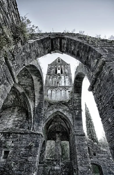 Rapallo Itália Julho 2017 Antiga Abadia Ruínas Mosteiro Santa Maria — Fotografia de Stock