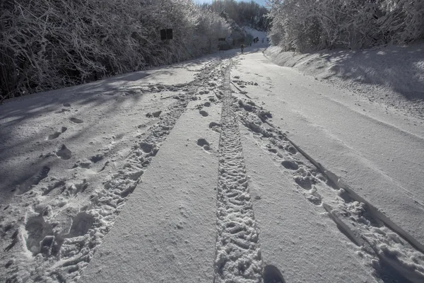 Wheel print in the snow/road/street/snow/winter/white