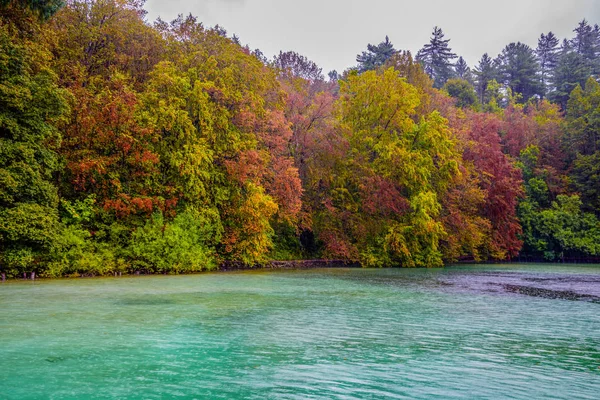 Mooie Herfst Park Herfst Park Plitvicemeren Kroatië Herfst Bomen Bladeren — Stockfoto