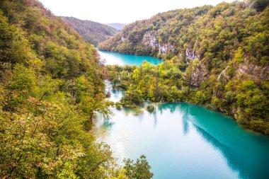 Şelale orman içinde. Kristal berraklığında su. ahşap yürüyüş yolu, Plitvice Gölleri, Hırvatistan