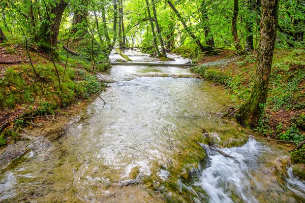 Маленькая Река Лесу Осенью — стоковое фото