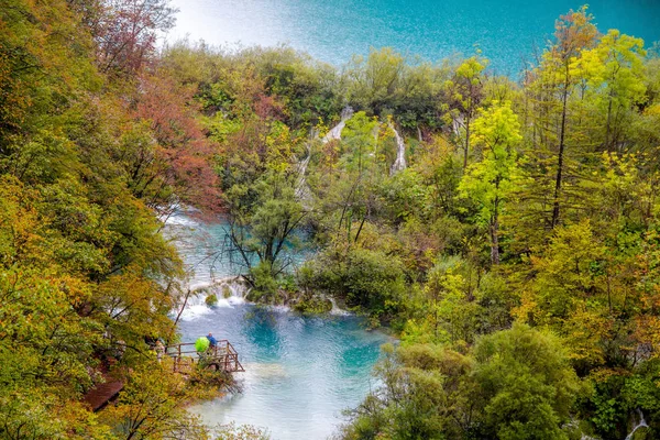 Водопад Лесу Кристально Чистая Вода Деревянная Тропа Плитвицкие Озера Хорватия — стоковое фото