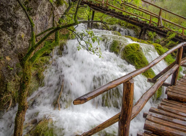 Знаменитые Водопады Плитвицкого Национального Парка Хорватия Водопады Деревянная Дорожка Мост — стоковое фото