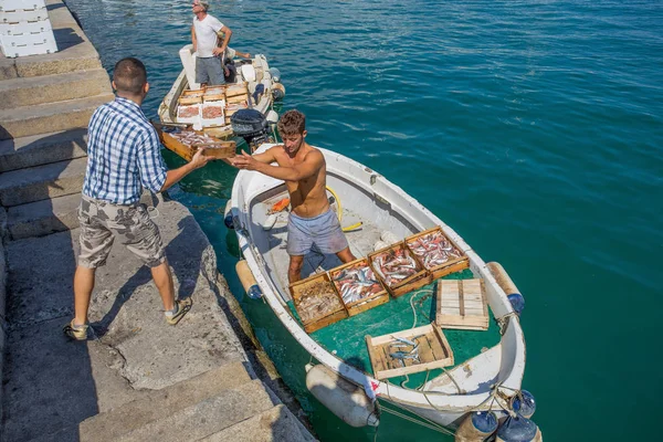 Santa Margherita Ligure Italie Juillet 2017 Les Pêcheurs Déchargent Poisson — Photo