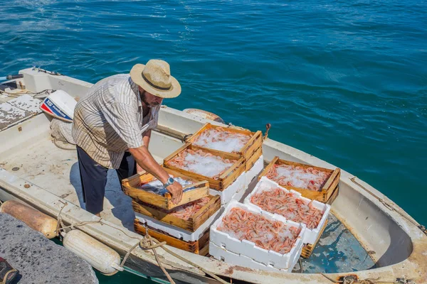 Santa Margherita Ligure Itália Julho 2017 Pescador Retorna Porto Após — Fotografia de Stock