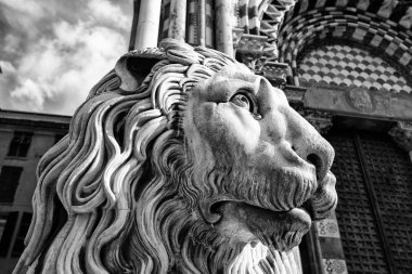 Aslan heykeli Katedrali San Lorenzo, Liguria, Cenova, İtalya / heykel cathedral St. Lawrence içinde taş aslan