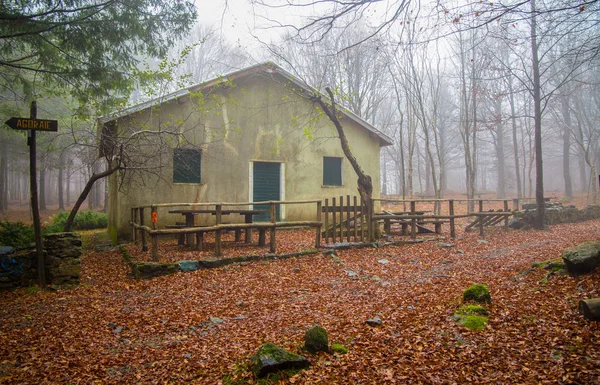 Isolated house in the beeches forest / woods/  old house / isolated / stone house / autumn / forest / fallen leaves