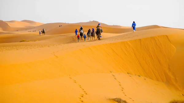 Merzouga Sahra Çölü Fas Afrika Deve Karavan — Stok fotoğraf