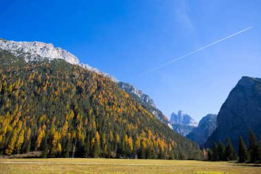 (Üç tepeler) Tre Cime di Lavaredo görünümünü arka planda Sonbahar zaman, Dolomites., İtalya.