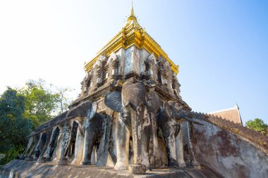 Chiang Mai, Tayland, 18 Şubat 2017 - Chedi Chang Lom Wat Chiang adam Tapınağı, Chiang Mai, Tayland, Chiang Mai en eski Tapınağı